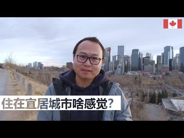 卡尔加里为什么是宜居城市？走，我带你看看去！| 卡加利 Calgary