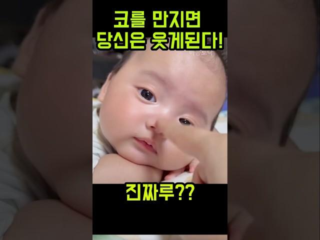 코를 만지면 무조건 웃게되는 신기한 영상