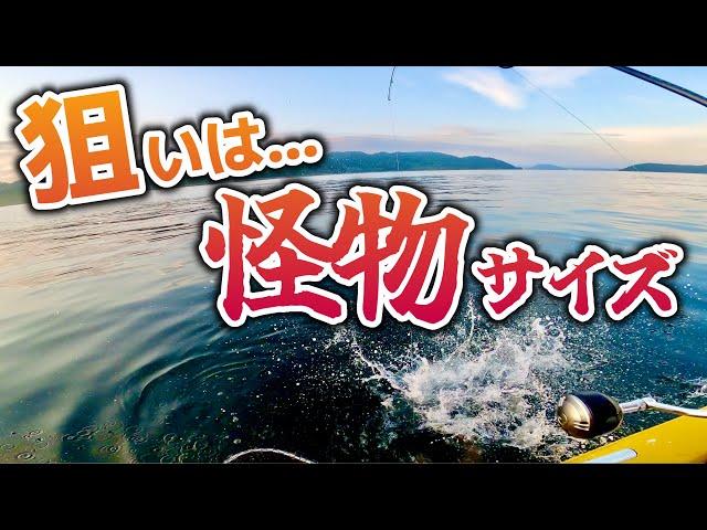 リリースNG！化け物サイズの美味しい魚で 絶品かまぼこ を作る！