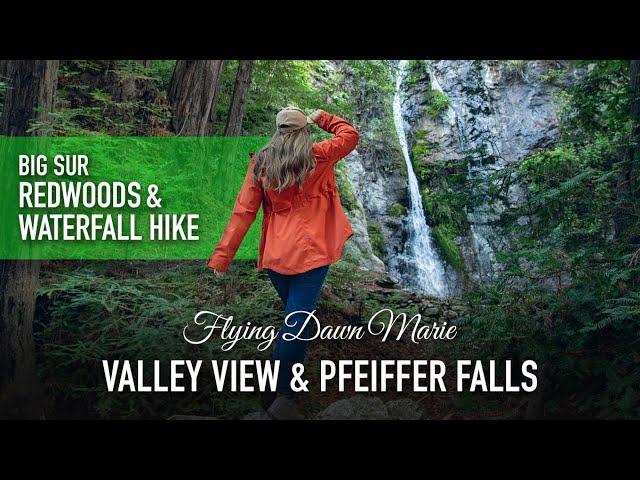 237: Valley View Trail & Pfeiffer Falls - BIG SUR REDWOODS & WATERFALL HIKE (Pfeiffer Big Sur SP)