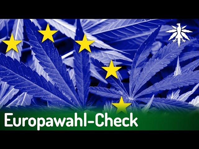 Europawahl-Check | DHV-News # 422