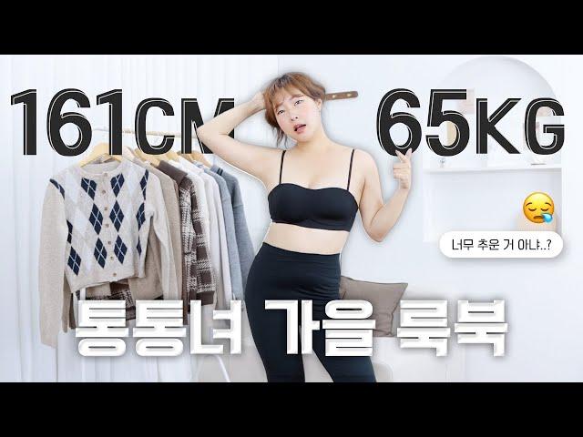 [161cm 65kg] 요즘 너무 춥지 않아? 뭐 입지? 가을~겨울 통통녀 룩북️ l 데일리룩 l 데이트룩 l 레이어드룩