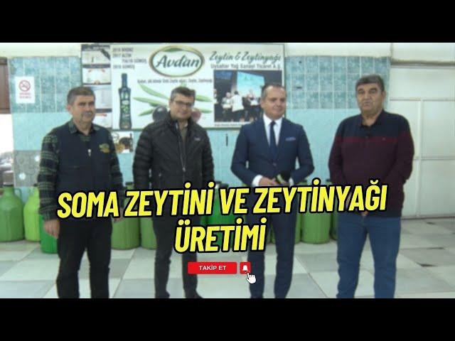 SOMA ZEYTİNİ VE ZEYTİNYAĞI ÜRETİMİ | ZEYTİNİN YOLCULUĞU