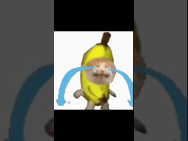 #bananacat ||Credit: @GabryGEF || #viral #meme #viralvideo #viralshorts #shorts #lol