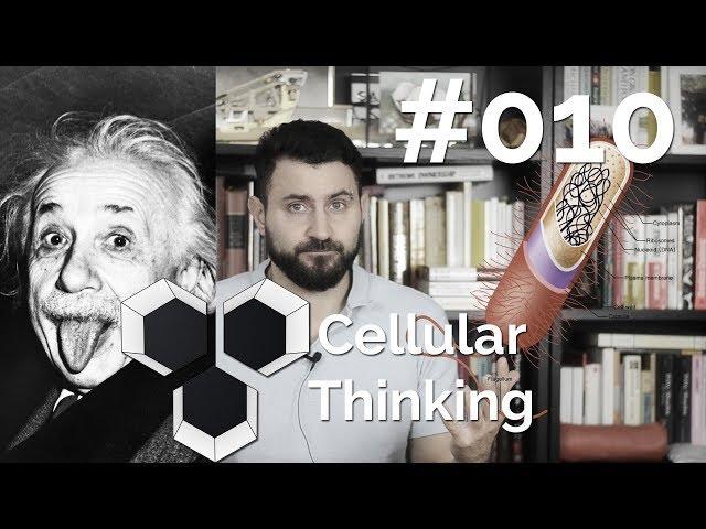 ProArchitect #010 - Celular Thinking and the Architectural "Skin"