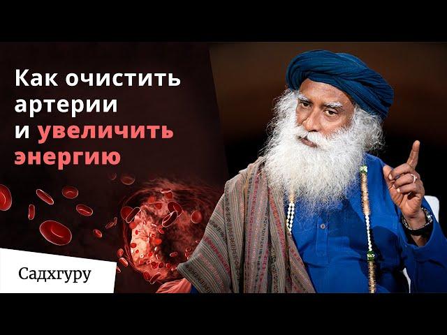 Целебная сила специй и семян: как природа помогает нашему здоровью