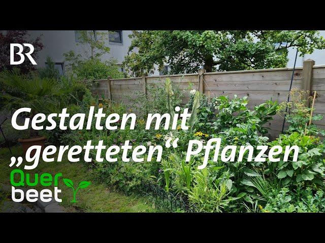 Gestalten mit "geretteten" Pflanzen