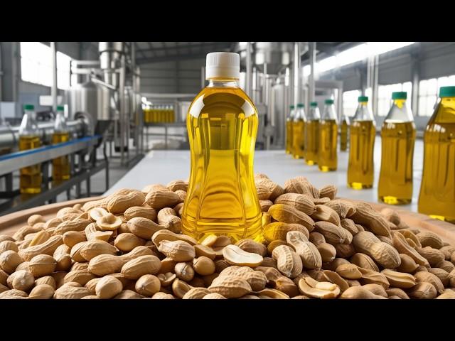 How Peanut Oil Is Made? | Amazing Peanut Oil Factory