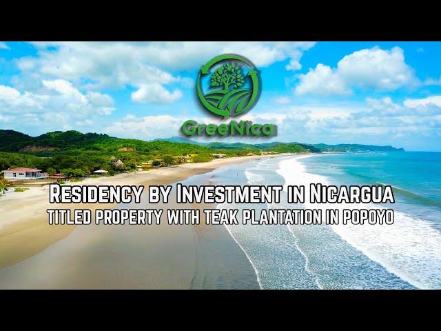 Residency by Investment Investor Nicaragua Real Estate Teak Plantation Real Estate Popoyo