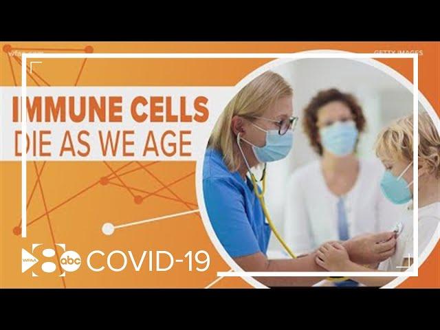 Health check: How does the immune system respond to coronavirus?
