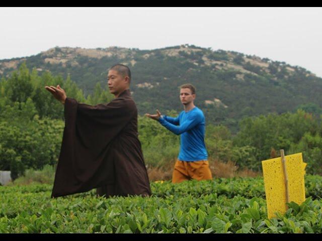 Learn Kung Fu in Dragon Mountain Martial Arts Academy in China