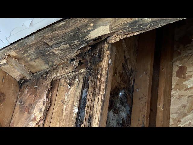 Repairing a rotted exterior wall part 2