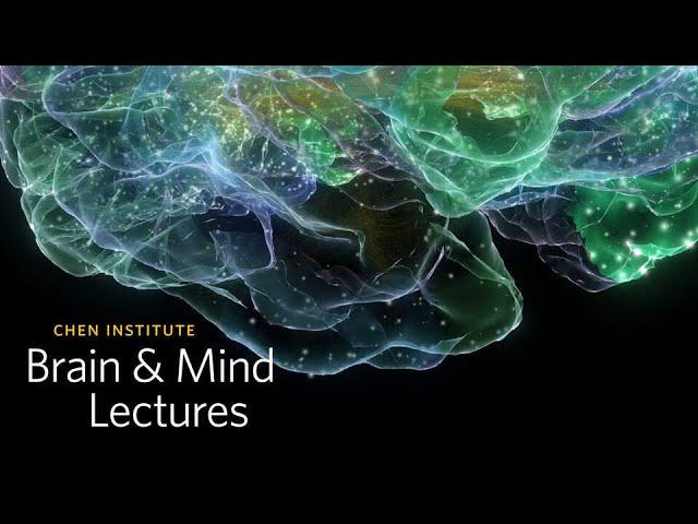 Chen Institute Brain & Mind Lecture: NeuroAesthetics