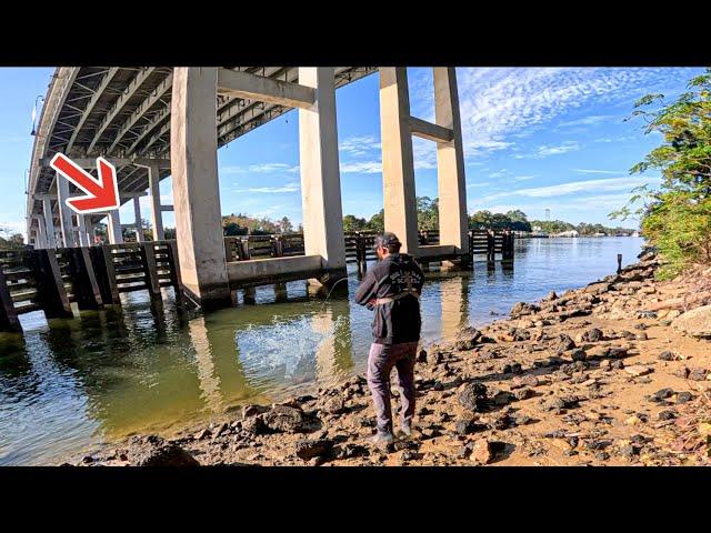 Fishing Giant Bridge For Dinner When I Hooked Into The Unexpected!