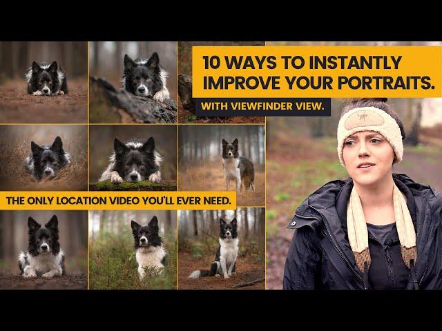 10 Ways to Instantly Improve Your Photos with 2020 Pet Photographer of the Year, Jessica McGovern