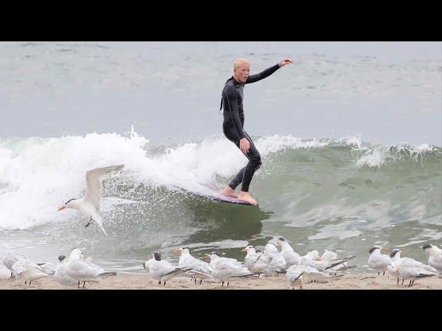 Long boarding a crazy but fun shorebreak