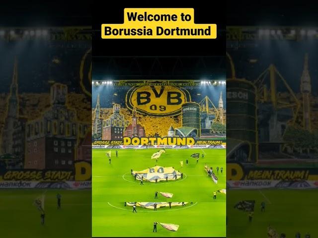 Welcome to Borussia Dortmund 