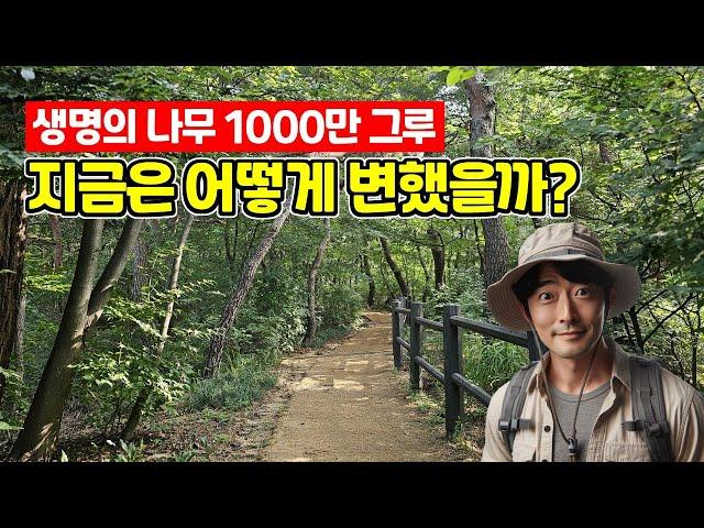 주민들이 심은 1000만 그루 |  ‍울창한 수목이 우거진 숲속 트레킹 코스 | 도심산책 | 서울산책 | 대중교통 당일치기 여행ㅣ지하철 여행ㅣ