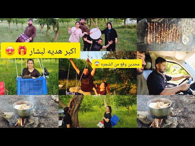 رحنا عالغابه  طبخنا قشه  عالنار و محدين وقع من فوق الشجره 