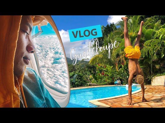 Guadeloupe: Vacances et Virée avec les Dauphins | TRAVEL VLOG