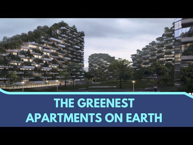 CHINA BUILDING THE GREENEST APARTMENTS ON EARTH | Daily Blast Live