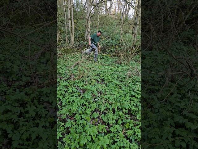 #survival #outdoor #nature #django #hiking #nature #adventure #camping