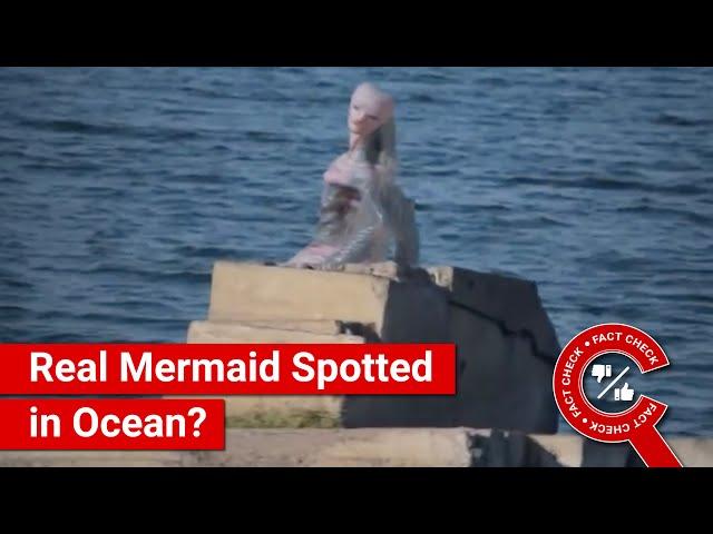 FACT CHECK: Viral Video Shows Real Mermaid in the Ocean Caught on Camera?