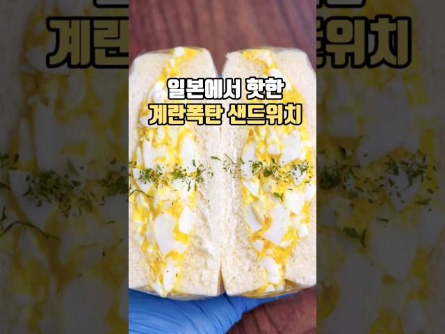 단백질 폭탄 아침메뉴계란듬뿍 샌드위치 #샌드위치 #아침메뉴 #간식 #shorts