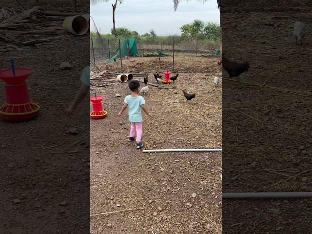Pets in village #girija #villagelife #pets #hens #ducks #shortsfeed #farm #farmlife