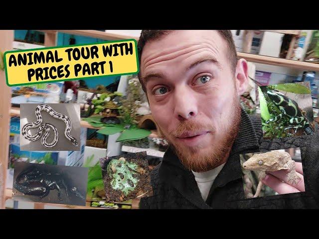 Animal Tour With Prices   Part 1 (Snake Island Exotics)