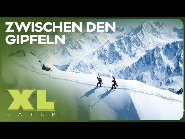 Traumberuf Bergführer: Arbeit in den Alpen | XL Naturdoku