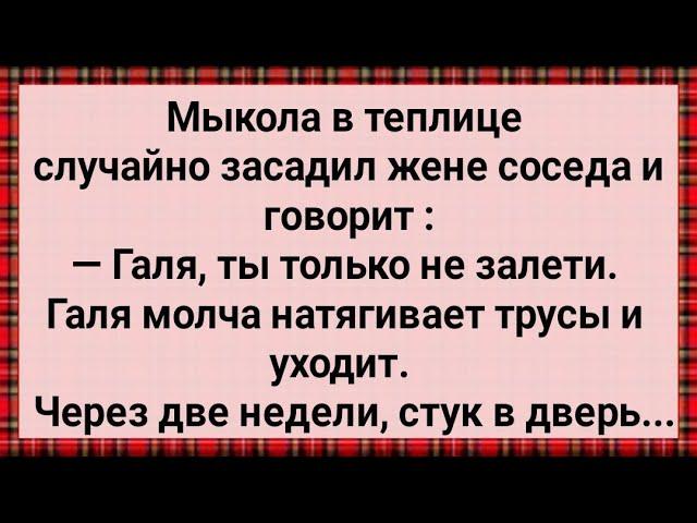 Как Галя от Мыколы Залетела! Сборник Свежих анекдотов! Юмор!