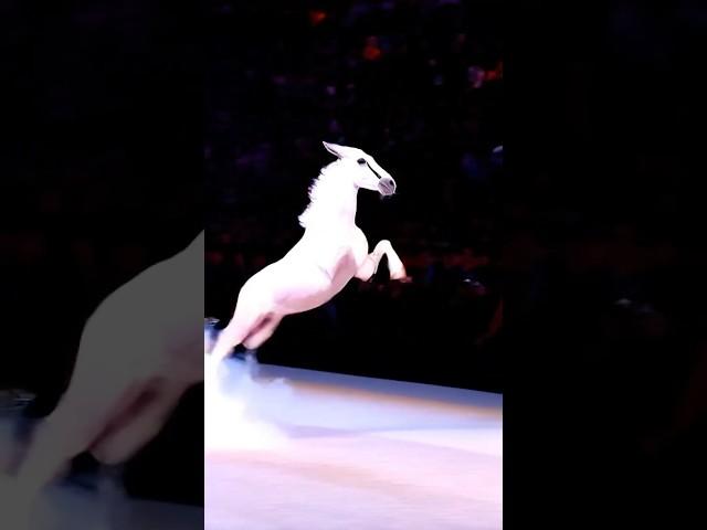 Unbelievable! Cyclist Turns Into a Majestic White Horse! #AGT #Magic #Talent #Shorts