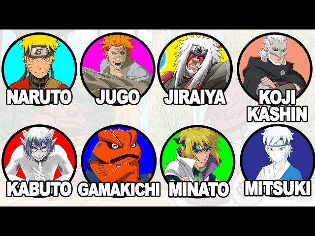13 Sage Art Users in Naruto Explained in 22 minutes