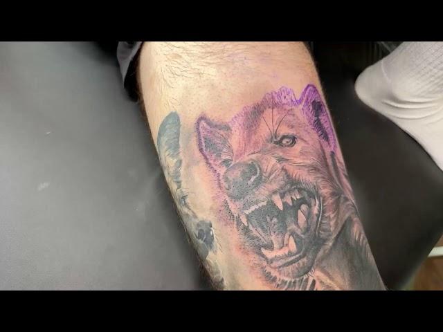 LIVE TATTOO: Hyena, African dog