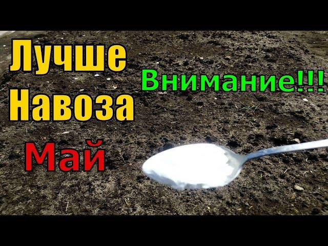 1 ЛОЖКУ НА ВЕДРО ВОДЫ И ЗЕМЛЯ КАК НОВАЯ! ПРОЛЕЙТЕ ЭТИМ ЗЕМЛЮ ДЛЯ ОБИЛЬНОГО УРОЖАЯ ВСЕХ КУЛЬТУР
