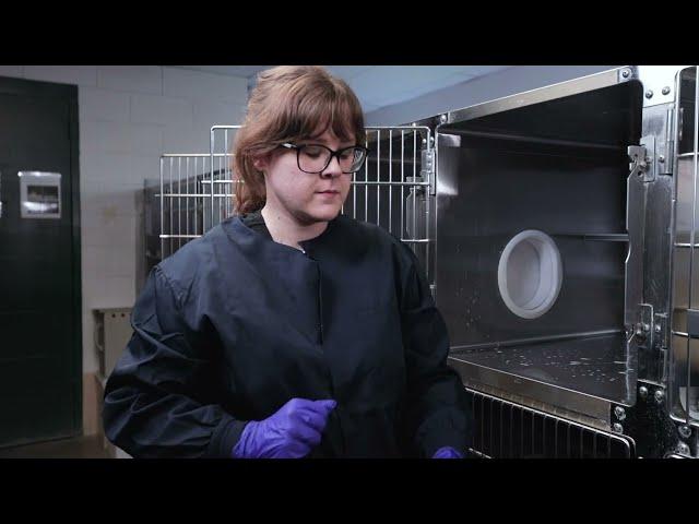 Shelter Medicine: ASPCA Deep Cleaning a Cat Kennel