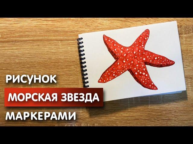 Как нарисовать морскую звезду карандашом и скетч маркерами | Рисунок для детей, поэтапно и легко