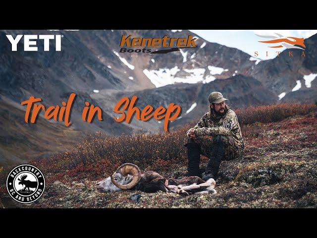 TRAIL IN SHEEP HUNT
