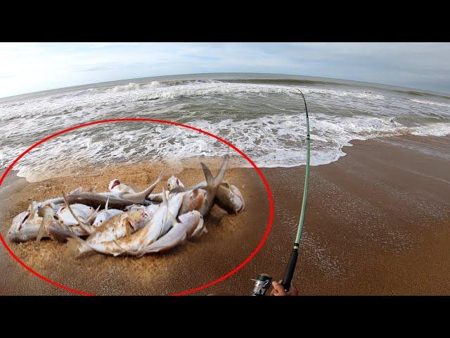 EU SABIA QUE TINHA PEIXE GRANDE NESSE LUGAR!!! Foi uma batida atrás da outra... PESCA DE PRAIA.