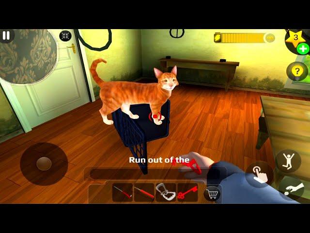 Scary Teacher 3D: Track The Echo That Come From The Cat Alone