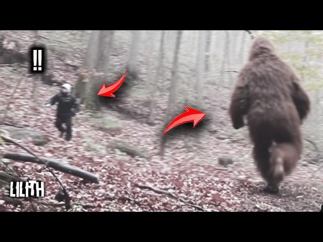 4  TERRIFYING Bigfoot Encounters In National Parks