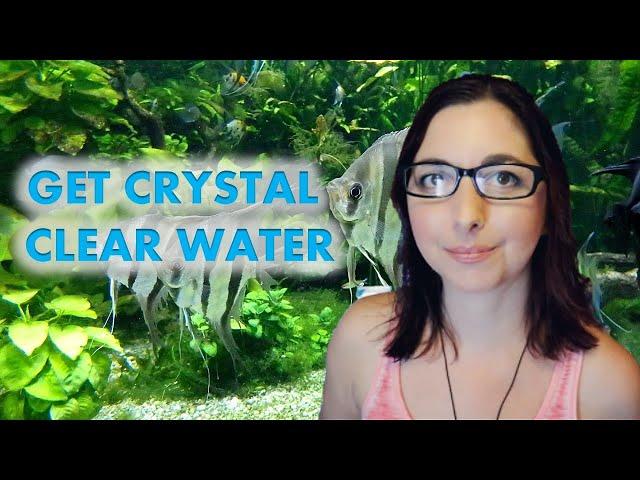 How To Fix A Cloudy Aquarium  Get Crystal Clear Aquarium Water