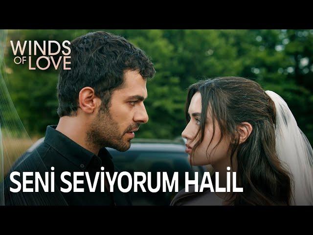 Halil Firat is aware of everything | Winds of Love Episode 130 (MULTI SUB)