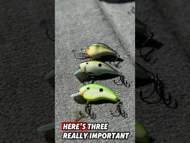 Top 3 Rapala Crankbaits for Fall Fishing