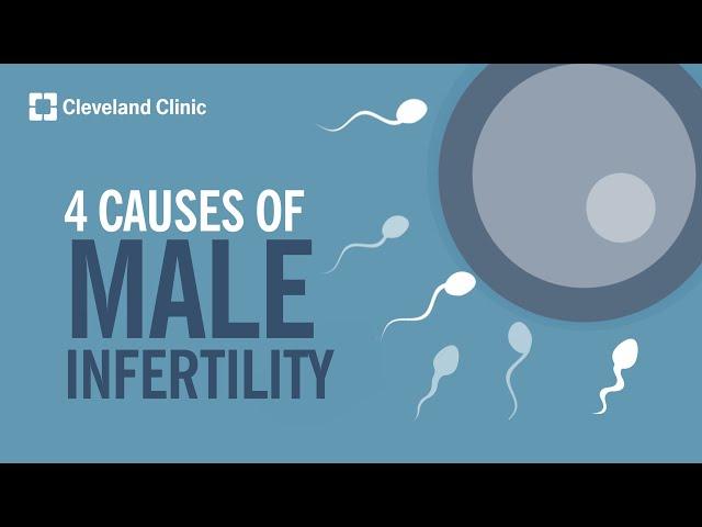 4 Causes of Male Infertility