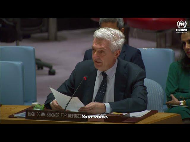 Filippo Grandi Briefing the UN Security Council