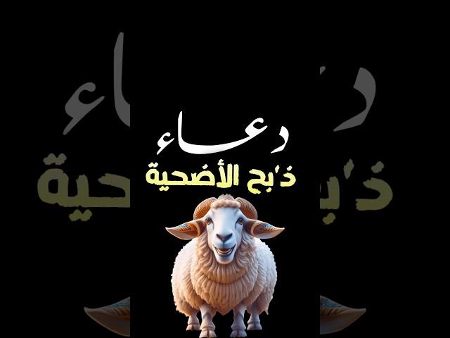 لا تذبح الاضحية قبل ان تقول هذا الدعاء‼️#دعاء_الاضحية #عيد_الاضحي #الدكتور_احمد_سلام