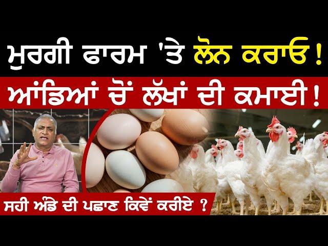 ਲੋਨ ਨਾਲ ਬੱਕਰੀ, ਮੁਰਗੀ ਫਾਰਮ ਚੋਂ ਕਮਾਈ ? | Poultry Farming Business | Goat Farming | Sirlekh