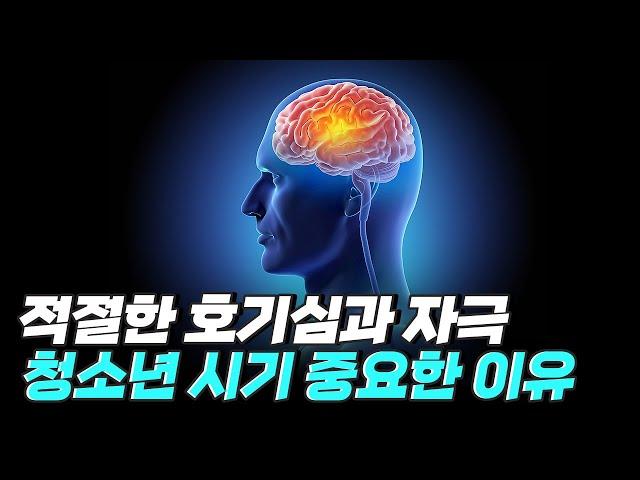 [핫클립] 청소년 시기 적절한 지적 호기심이 중요한 이유 / YTN 사이언스